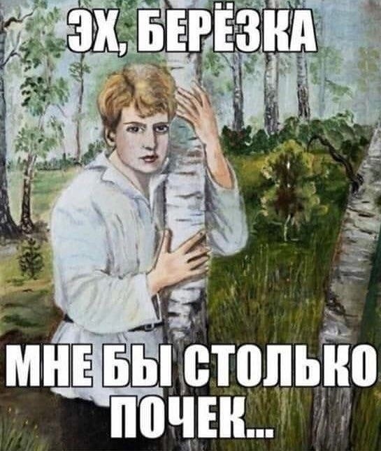 Всяческие картинки