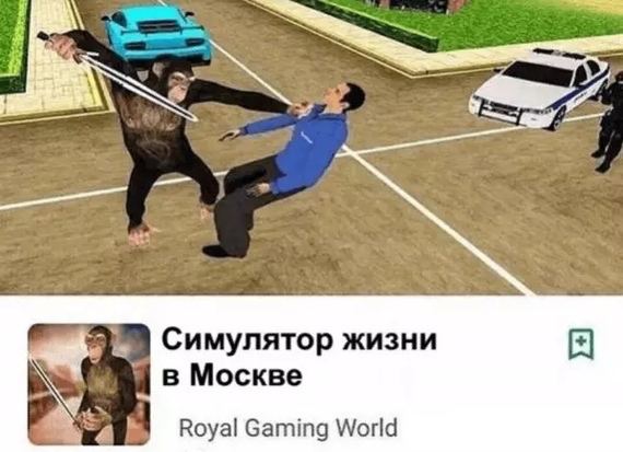 Всяческие картинки 15.12.2021