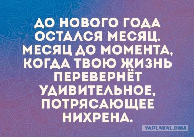 Всяческие картинки 29.12.2021