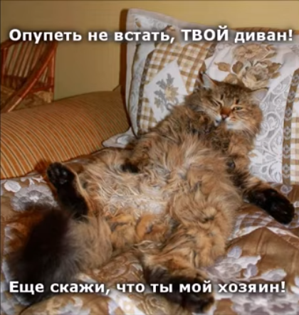Весёлый полтишок 28.02.22