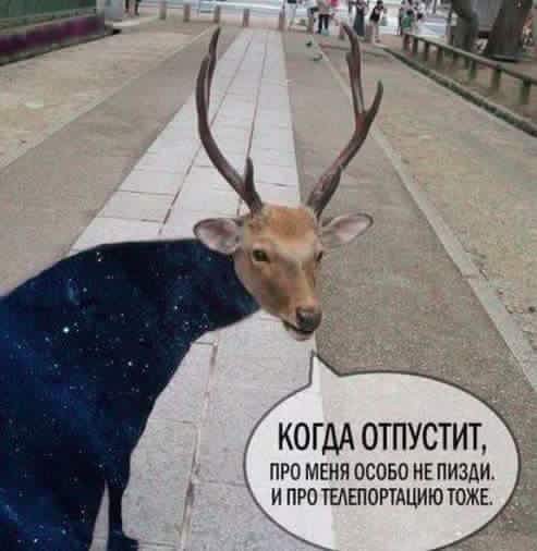 Псс..! Мемов надо?