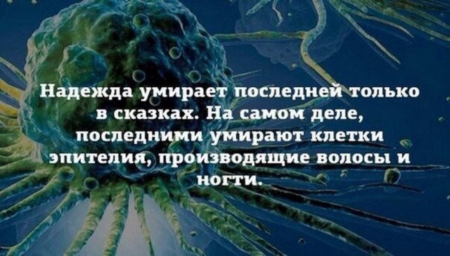 Забавные и веселые картинки
