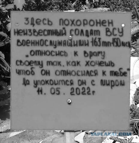 Володю спасли русские солдаты