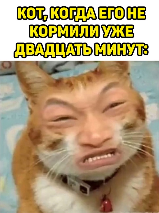 Картинки и мемы для настроения - 23