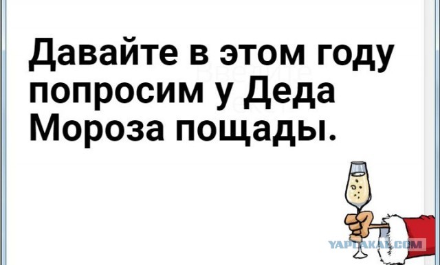 Новый год к нам мчится