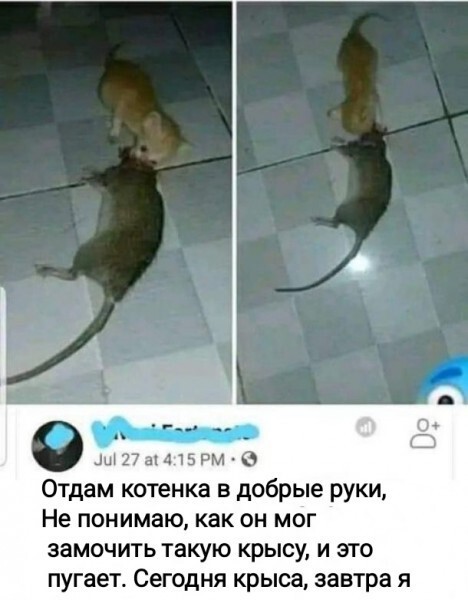 Зато у меня цобакен есть