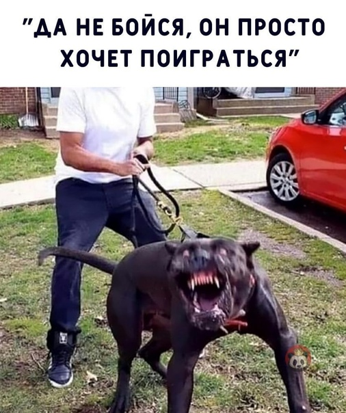 Сколько счас стоит писечка