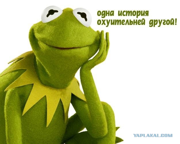 Мимо этой истории никто не сможет пройти мимо