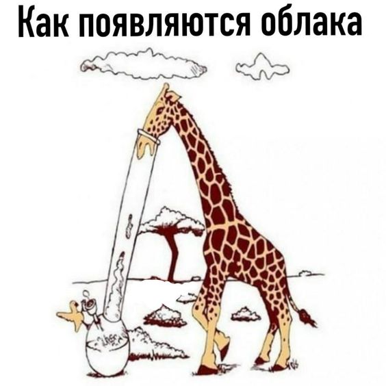 Прикольные и просто красивые картинки 04.08.2023