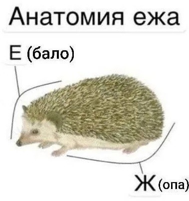 Ступеньки для ёжика