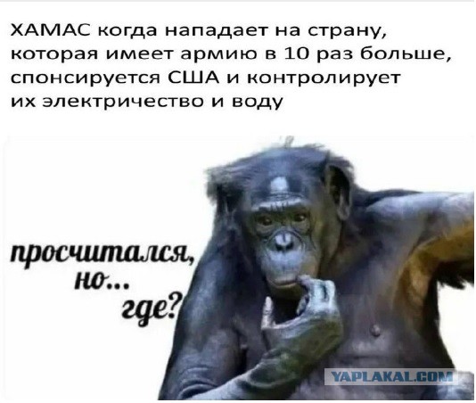 Черная пятница. ХАМАС