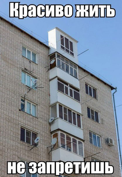 Весёлый полтишок 26.10.23