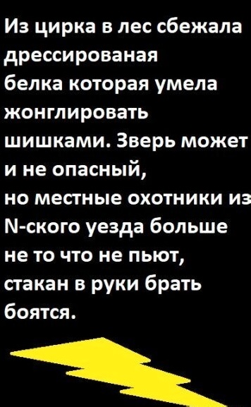 Приколы с налетом деградации