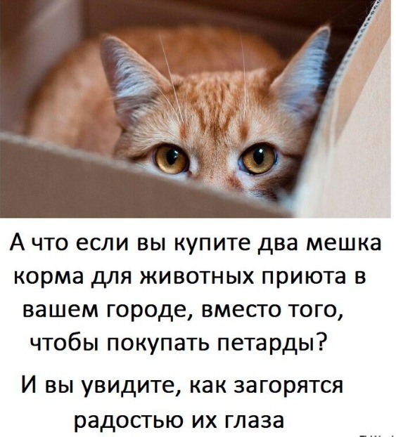 Всего понемногу. От 20.12