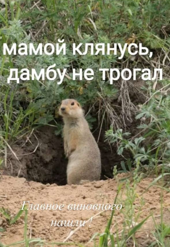 В СК сообщили, что ремонт рухнувшего в Вязьме моста проводился в 2023 году