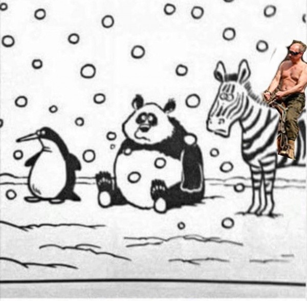 Раскраска. Я раскрасил, например!