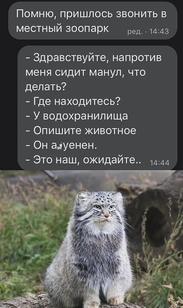 Никакие картинки