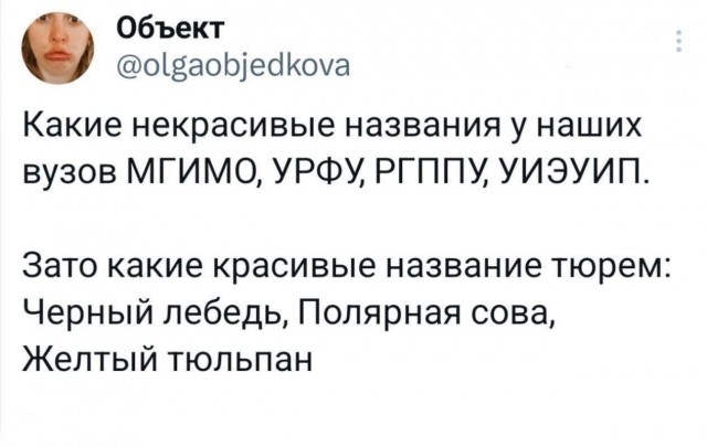 Так себе картинки 17.10.24