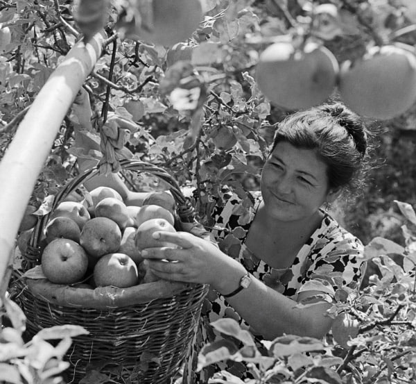 Фотографии из прошлого нашей страны – 77
