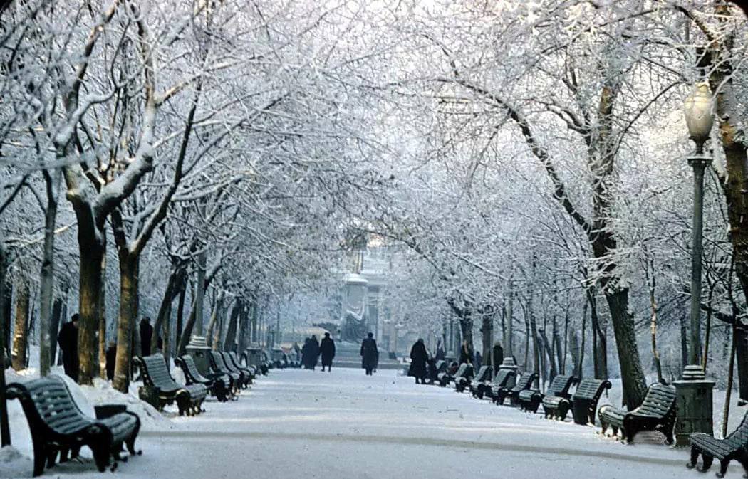 Москва зимняя. Часть первая