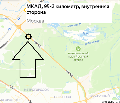 Жаль оленёнка на МКАДе.
