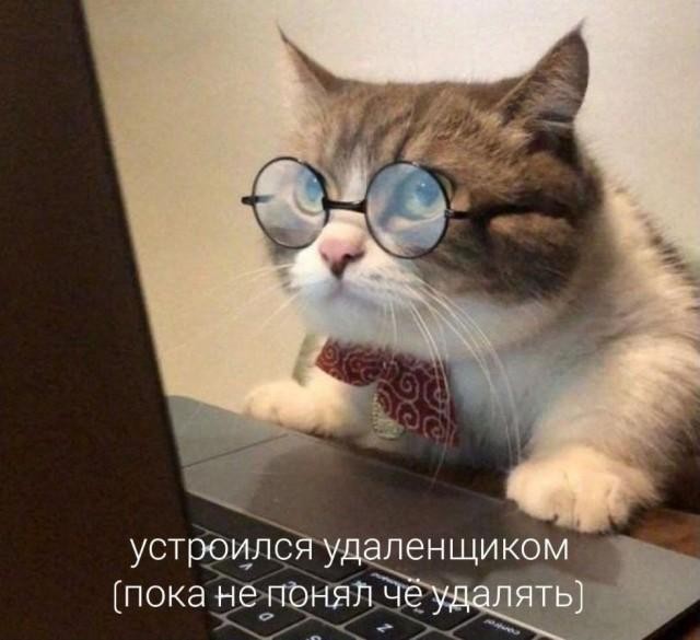Картинки разные