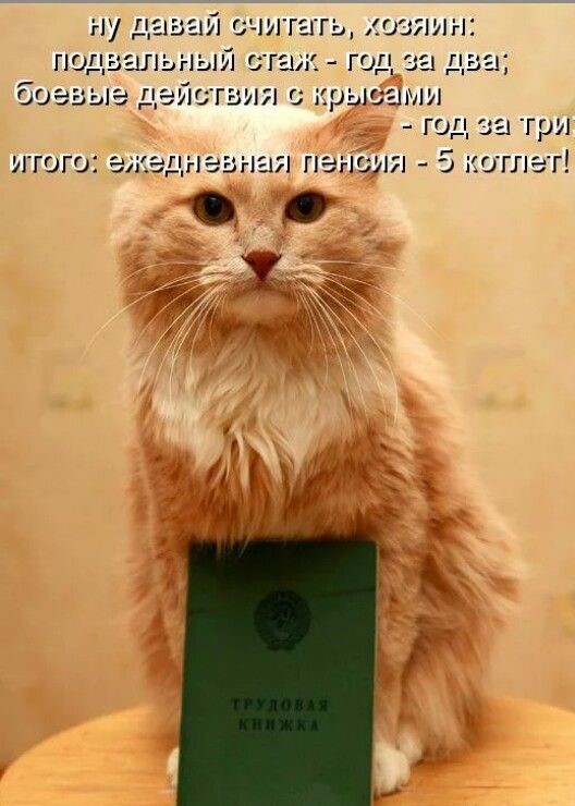 Рисунок с процессом.Кот нарисован в последний день больничного, завтра возвращение на работу