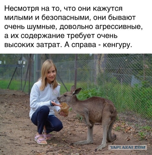 У зумеров действительно проблемы с сексом