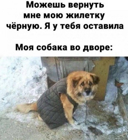 Веселое настроение в картинках (12.12.2025)