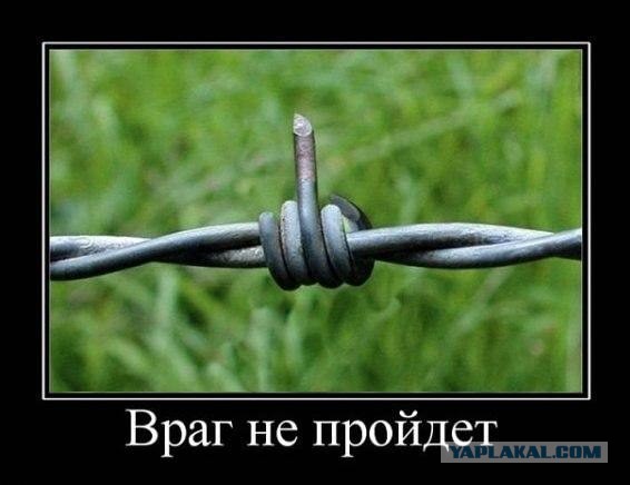 Курская дуга
