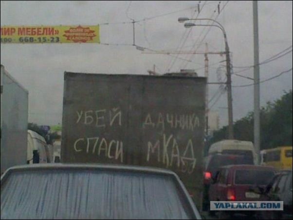 Среды картинки