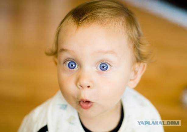 Почему мужчины бреют волосы на лобке