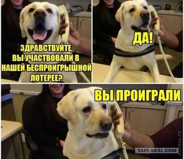 Картиночки, баянчики 14 июня