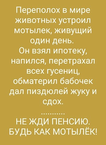 Так себе картинки 01.07.26