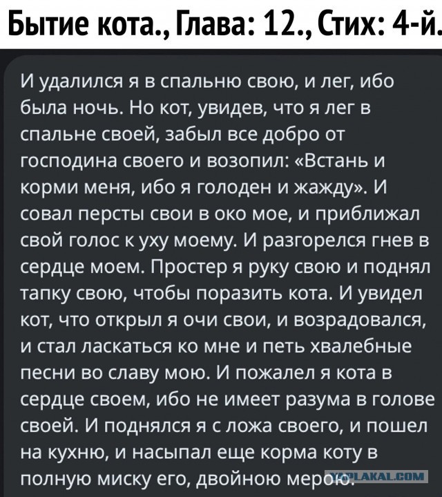 Так себе картинки 05.07.26