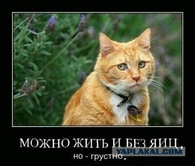 Ожидание и реальность?