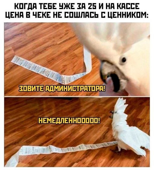 Картинки для деградации 302 (разной степени свежести)