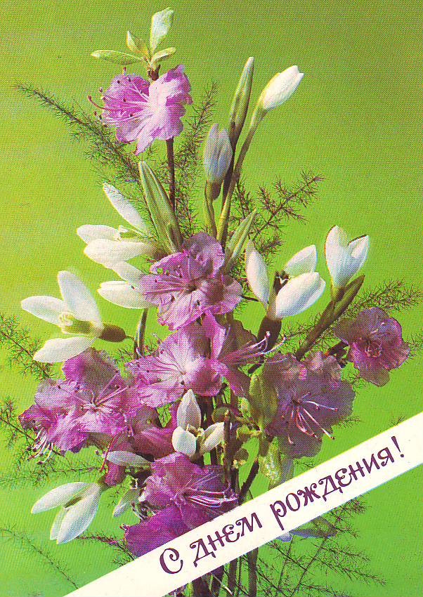 Советские открытки с цветочками!