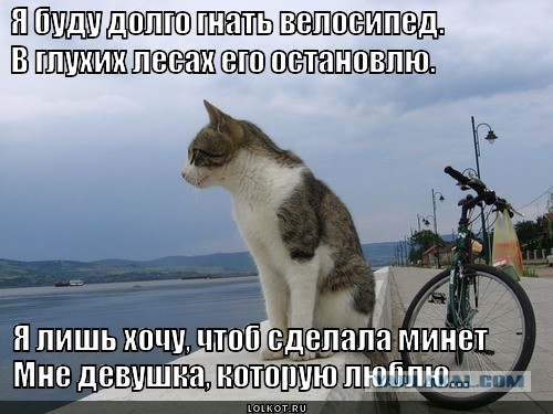 Стрельнул сигу