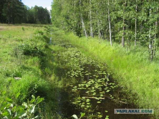 Карелия — от заката до рассвета