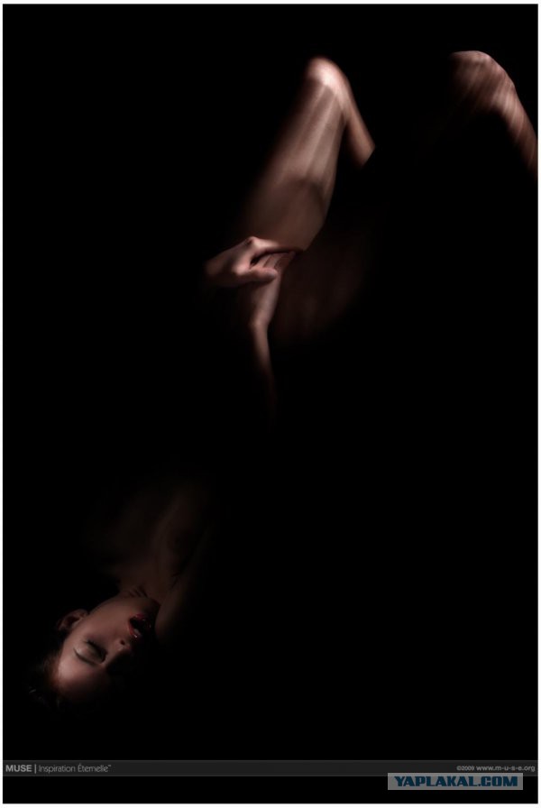 Топ-25 самых сексуальных порноактрис 2014 года