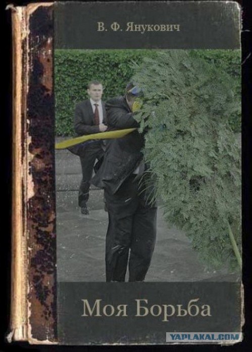 Наш пациент!