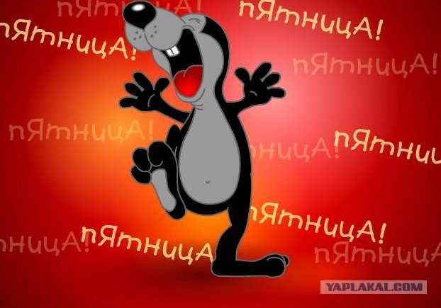 Наши отдыхают