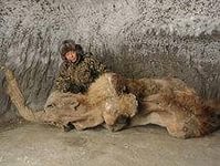 Пост ради Юки.