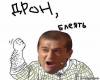 Откуда берутся дети
