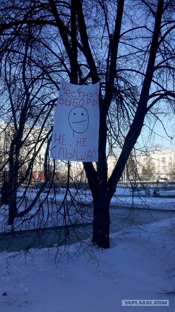 Мои фото с митинга на Болотной, прикольные лозунги