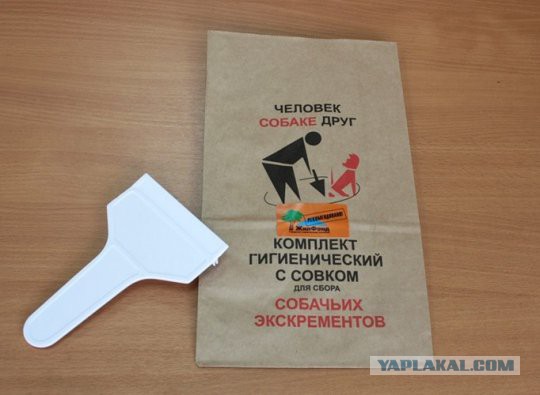 Наказание нерадивых собачников