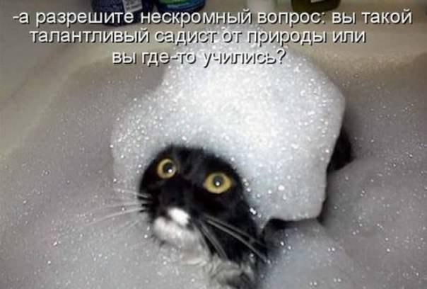 Улыбнемся в понедельник!