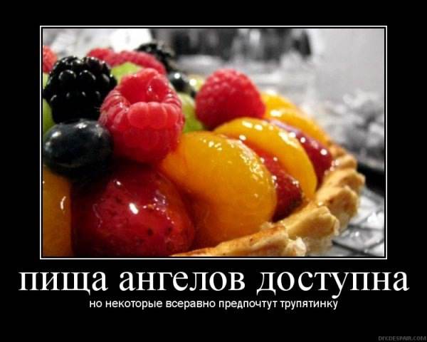 6 причин есть веганов