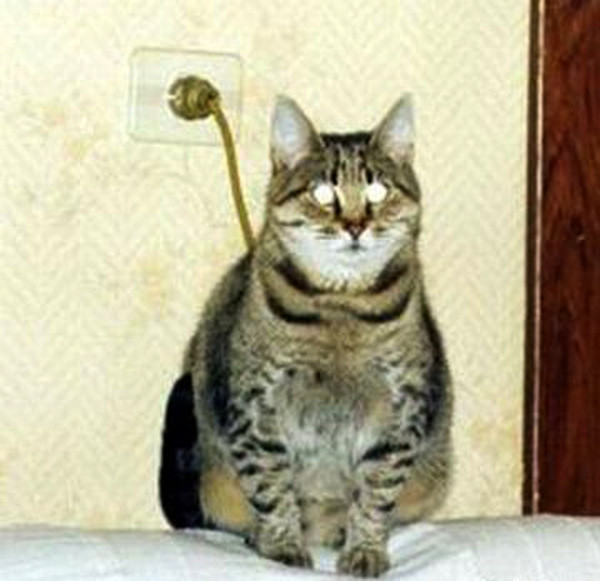 А вот за "тварь" ответишь!